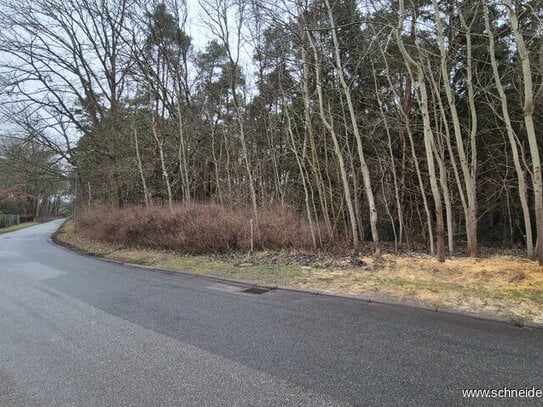 Ruhiges Waldgrundstück mit positivem Bauvorbescheid - Einzelwohnhaus mit 2 Wohneinheiten möglich!