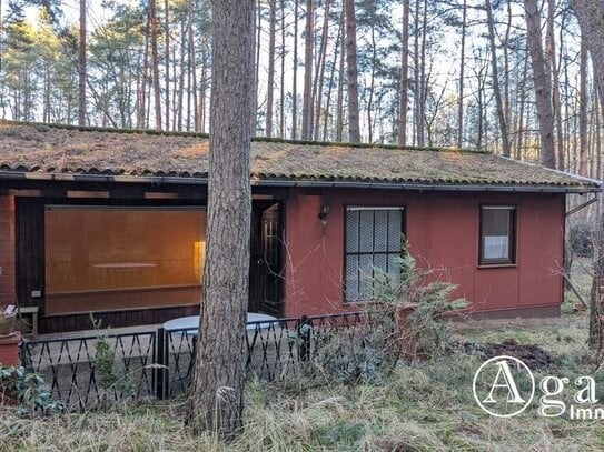 großzügiges Freizeitgrundstück mit Bungalow in Ferch