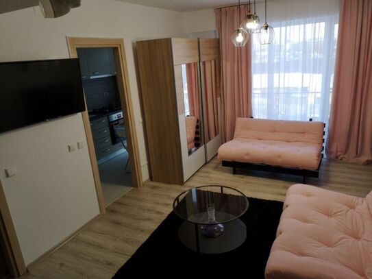 Neu Renovierte 2 Zimmer Wohnung Balkon Einbauküche