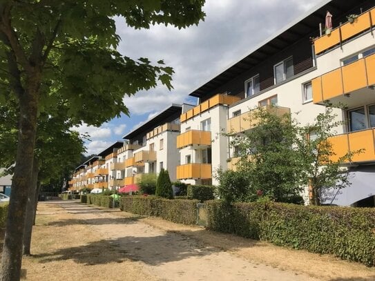 Große 4-Zimmer-Wohnung in Bochum Dahlhausen frei!