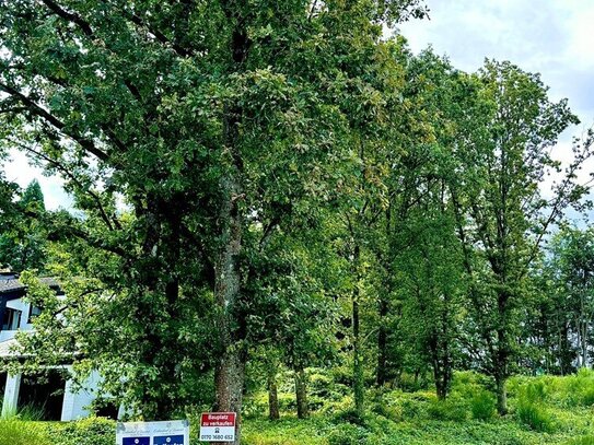 Letztes Baugrundstück in bevorzugter Lage (Sackgasse) in Ludwigsthal