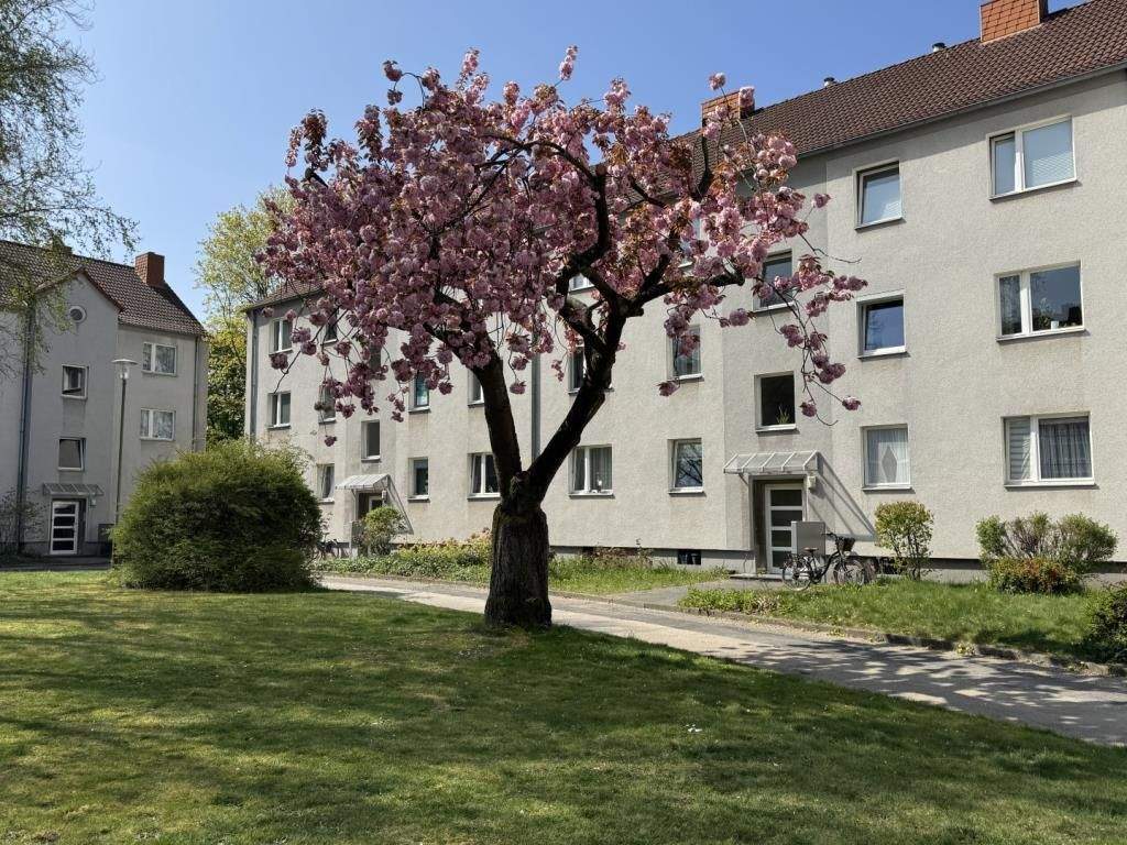 3-Zimmer-Wohnung mit Ballkon in D-Holthausen, bequem im 1. OG