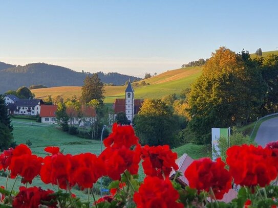 www.bergblick-schwarzwald.de