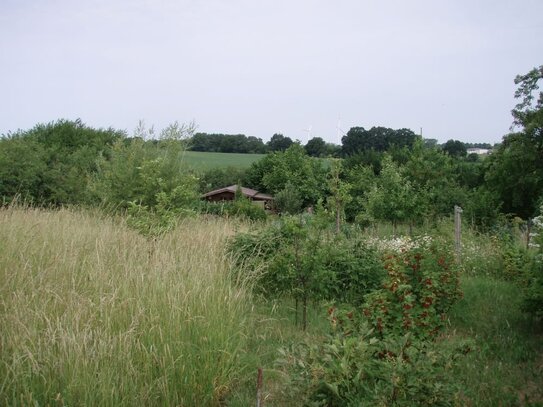 *Baugrundstück mit Ferienhaus in zweiter Reihe im Carinerland - Idyllische Lage im Ostseehinterland *