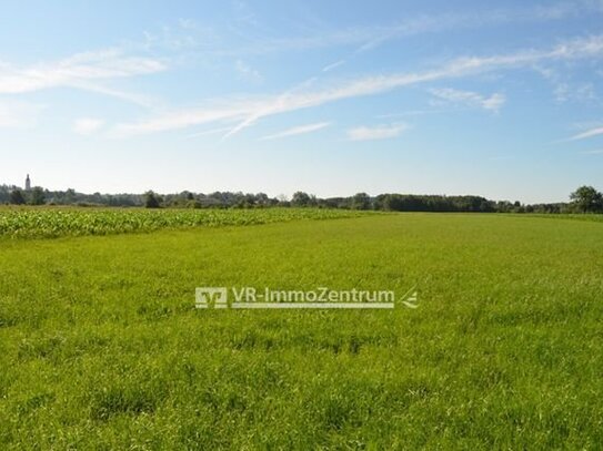 schmale Wiese Richtung Geretshausen