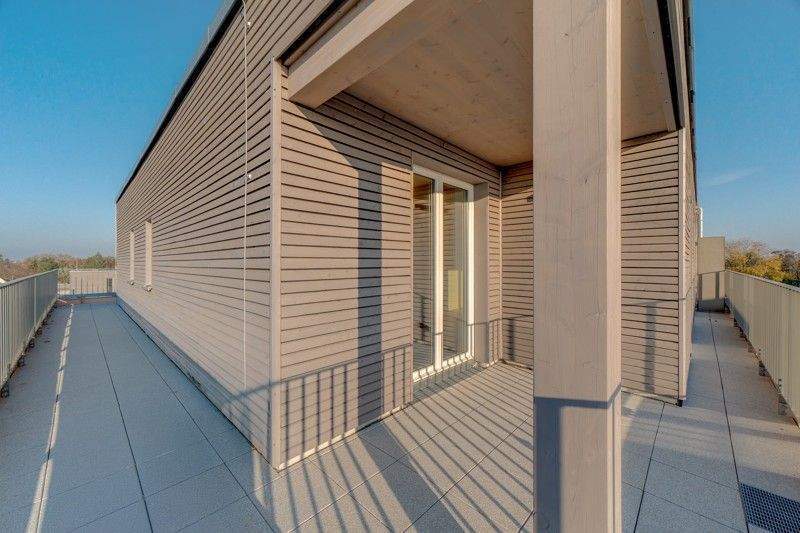 Mehrere Erstbezüge! 180° Blick im Erstbezug - Photo 1