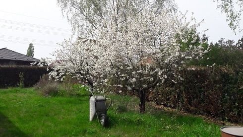 Traumhaft, schönes Baugrundstück in sehr ruhiger, grüner Stadtlage mit Weitblick