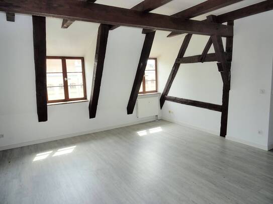 3 Zimmer Wohnung im Zentrum von Zwickau zu vermieten !