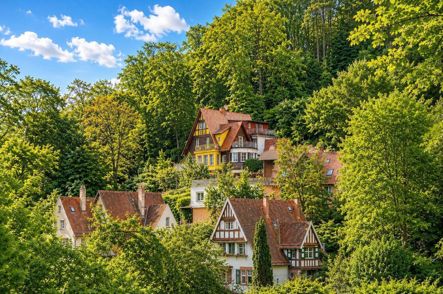 Real Estate Title Image Background
