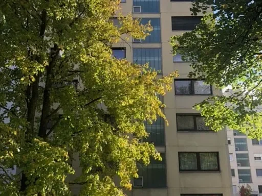 Gemütliche 1-Zi. Wohnung
