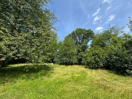 *5-Fam.-Landhaus mit Scheune und großem Garten am Harzrand*