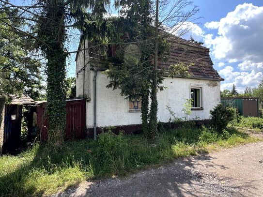 Einfamilienhaus am Ortsrand von Dieskau inkl. ca. 1330m² Grundstück