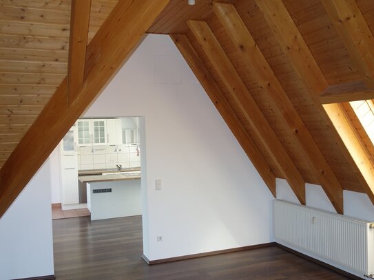 Großzügige helle Studio/Wohnung - 2-3 ZKB Mannheim-Neckarau