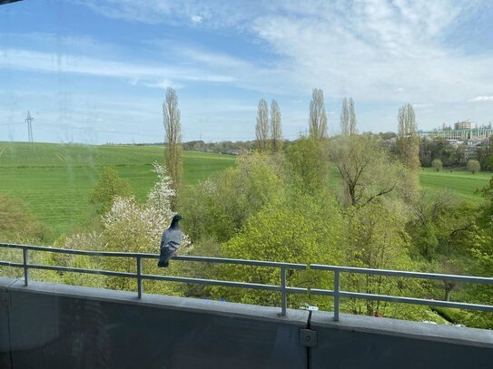 renovierte Einraumwohnung mit Balkon