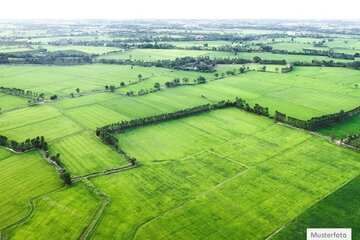 Lukrativ + Provi-Frei ++ Land- / Forstwirtschaft in Dillenburg