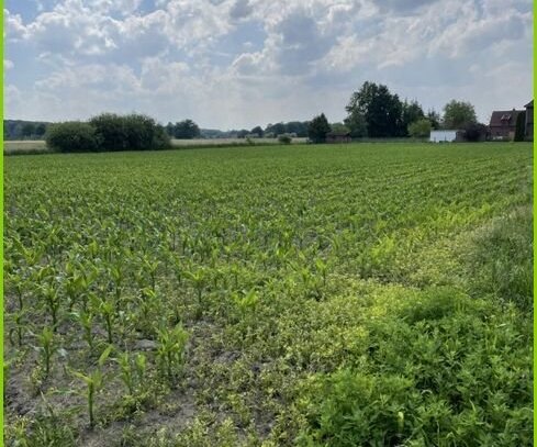 0,5 ha Acker- und Grünland in Hamm-Haaren