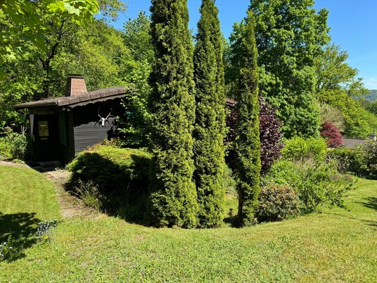 Ferienhaus in Naturoase idyllisch gelegen in Reinhardshagen