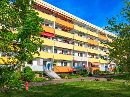 Wohnvergnügen verteilt auf 3 Zimmer