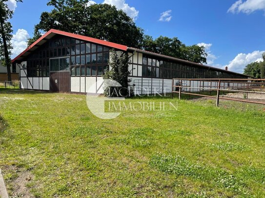 Reitsportanlage mit 20x60m Halle und Grünland bei Wahrenholz