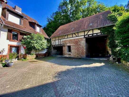 Heidelberger Landhaus - Ruhe, Natur & Raum für Ideen