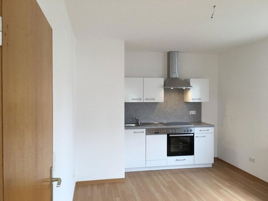 Freundliches helles 1-Zimmer-Appartement in Ilbenstadt