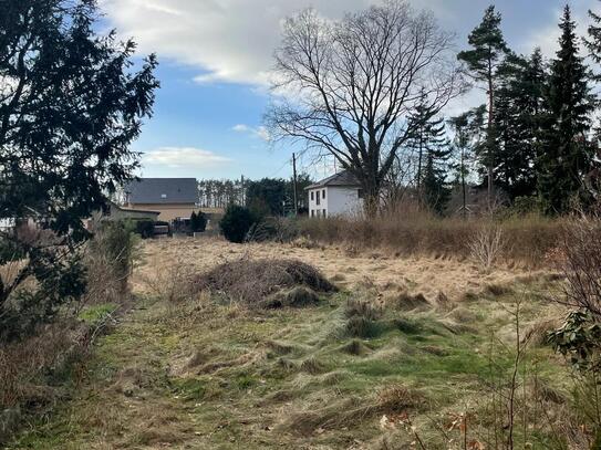 Sonniges Baugrundstück direkt am Waldrand