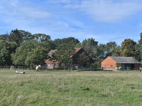 Attraktiver, sanierter Pferdehof in Alleinlage