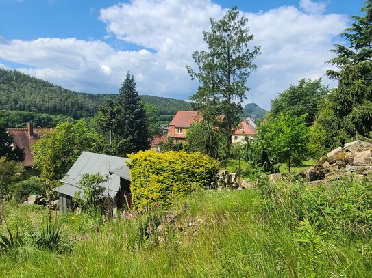 Bauträgerfreies Grundstück in Bad Schandau mit Elbblick für 1 oder 2 Baukörper