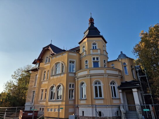 Großzügige 2-Raumwohnung in einer sanierten, historischen Villa mit Balkon und Gartennutzung