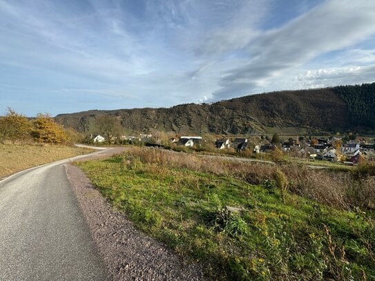 Baugrundstück mit Moselblick