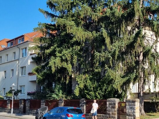 Altbau-Investment in Dresden Trachenberge