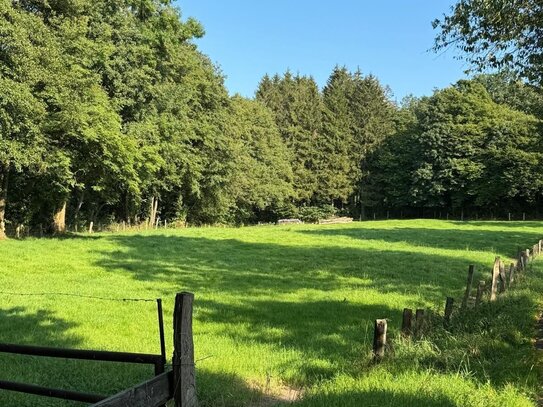 großzügige Landwirtschafts- und Forstfläche