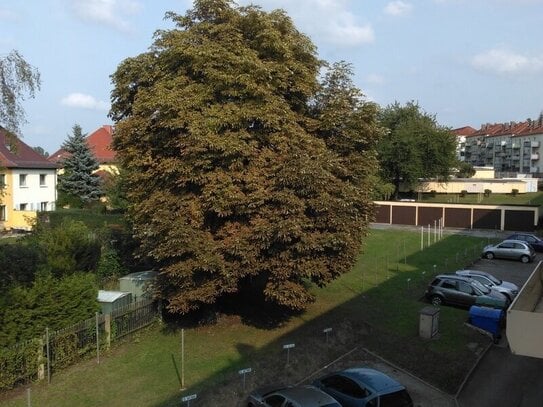 Tolle 3-Raum-Wohnung mit Badewanne und Balkon