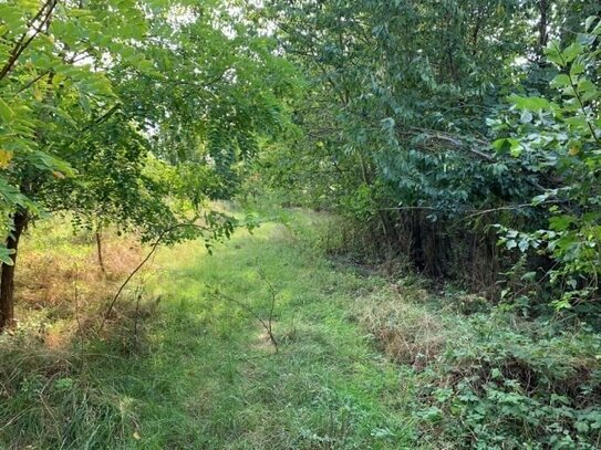 Rohbaugrundstück in idyllischer Randlage