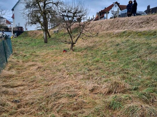 Grundstück 478 m² in ruhiger Lage Neuburg zentrumsnah