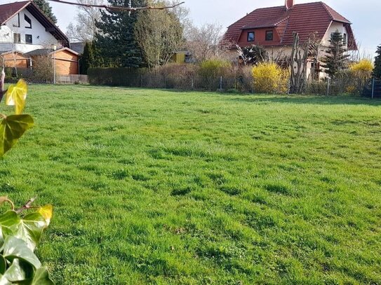 Hier kann Ihnen der Nachbar nicht in die Kaffeetasse schauen :-)