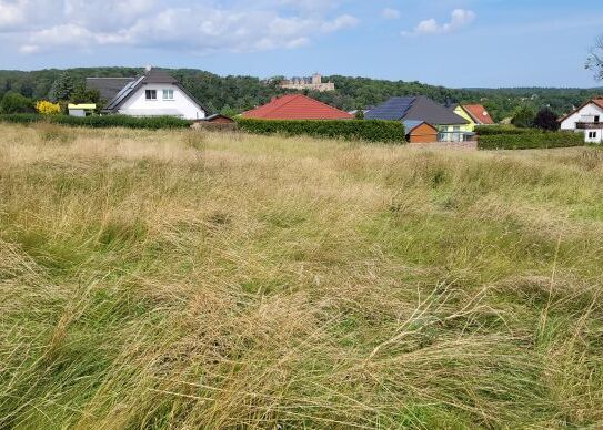 Bauträgerfreies Grundstück 3 für EFH mit traumhaften Blick auf das Oberschloss von Kranichfeld