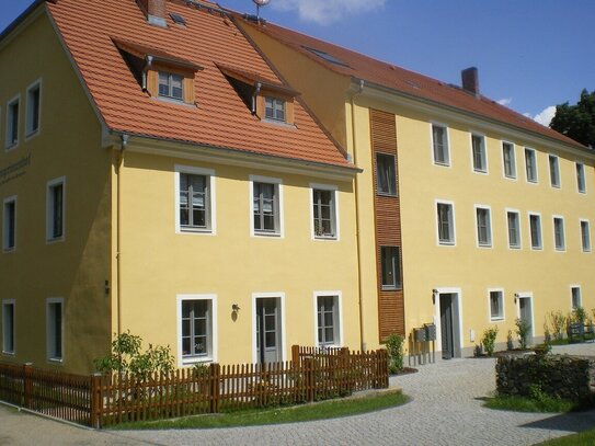 Tolle 2 Raumwohnung mit Kamin und Balkon in ruhiger Wohngemeinschaft