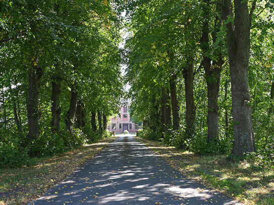 Schönes Hofgrundstück im Grünen mit einer neuwertigen Mehrzweckhalle