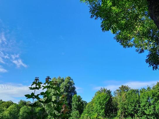 Und immer wieder geht die Sonne auf :) Barrierefreie, 3- bis 4-R.-ETW mit Terr. & Aufzug in Kettwig