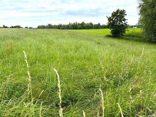 4,9 ha Grünland in Kalkar-Bylerward