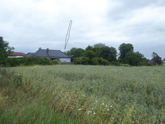 Auktion - vermietetes Gartengrundstück hinter Wohnbebauung in 06463 Ermsleben