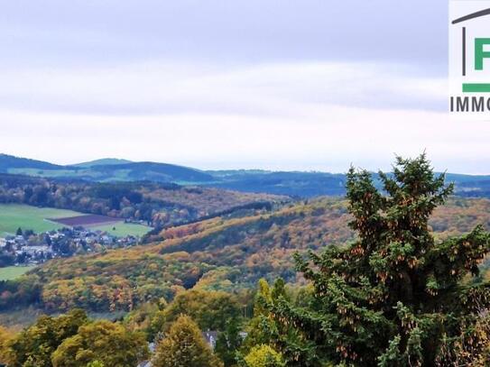 Genialer Blick übers Erzgebirge - 2 Zimmerwhg.+Balkon in Bernsbach