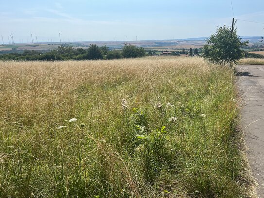 Traumhaftes Wiesen-Grundstück mit Fernblick in exponierter Lage von Kirchheimbolanden