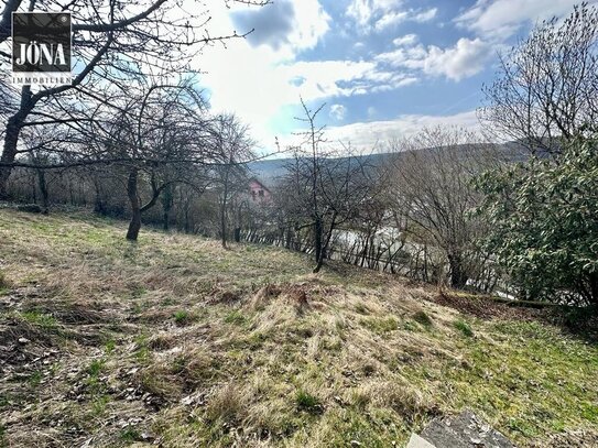 Sonniges Grundstück in natürlicher Umgebung vor den Toren Kulmbachs