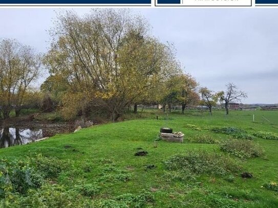 Traditionelles Haus zum Aus- und Umbau - großes Grundstück - Teich