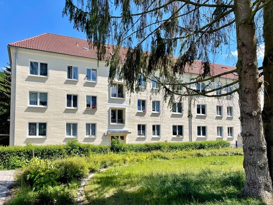 Hübsche kleine 2RWE im sanierten Altbau - äußeres Triebischtal