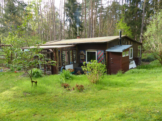 Für den Handwerker!!! Hobbygärtner !!! Ferienhaus auf großzügigem Waldgrundstück.