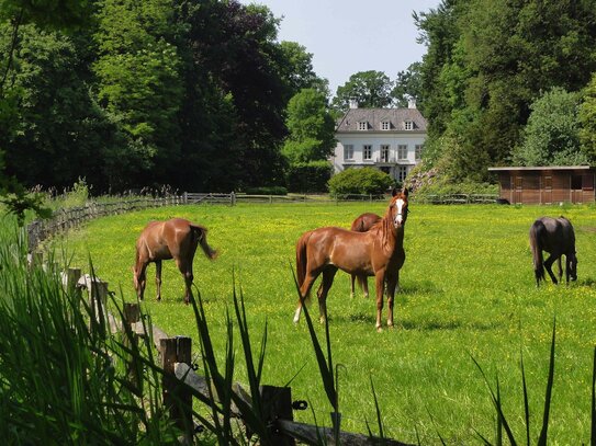 Idyllischer Landsitz in Alleinlage mit Reitanlage - Exclusiver Secret Sale