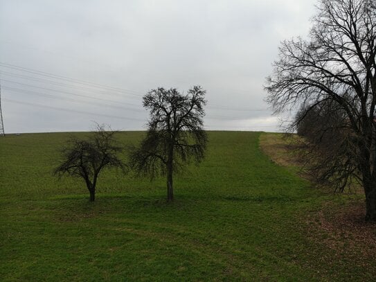 Hof / Anwesen mit Ackerfläche